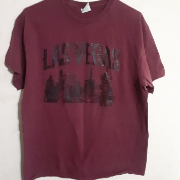 Delta Pro Weight Men's Las Vegas Nevada Short Sleeve T Shirt in Size L - Picture 1 of 5